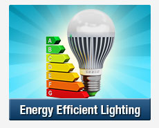 Energy Efficient Lighting in Telopea